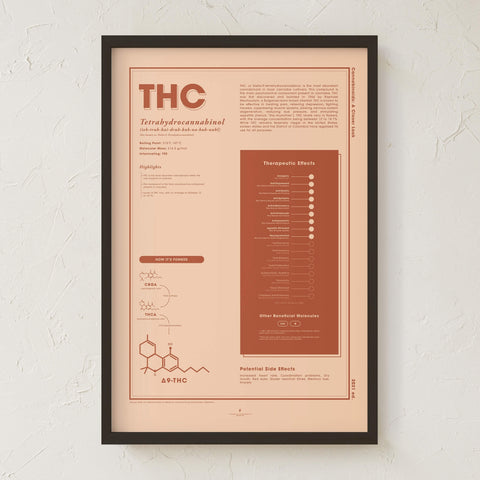 THC: A Closer Look Print by Goldleaf - Black Frame