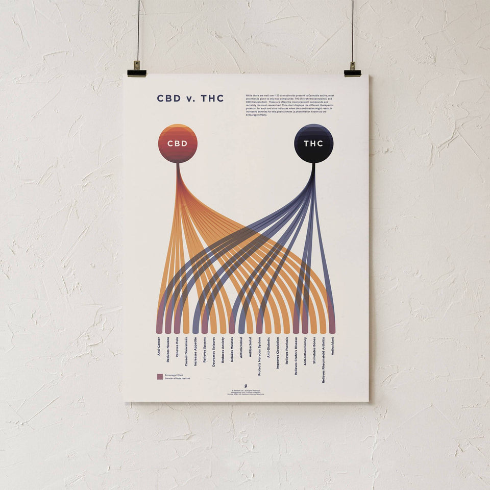 CBD vrs. THC Comparison Infographic Chart Print - Goldleaf