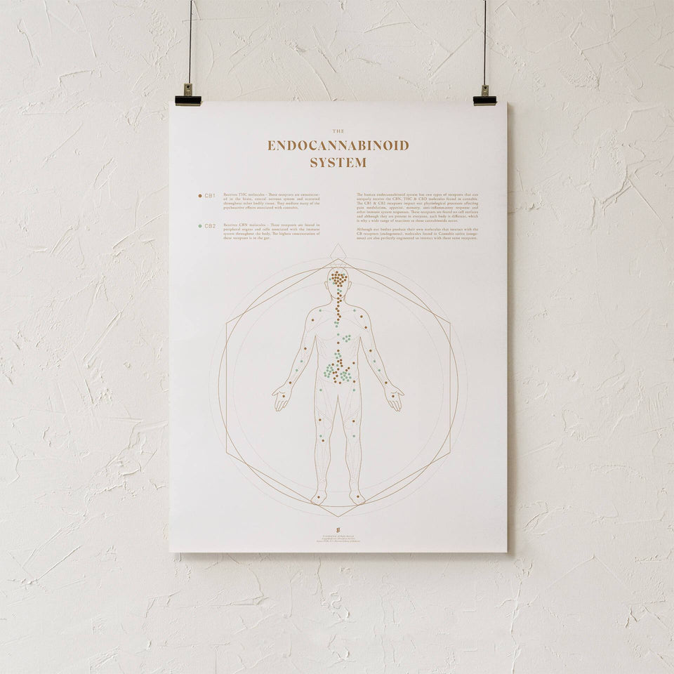 Ecs Medical Chart Review