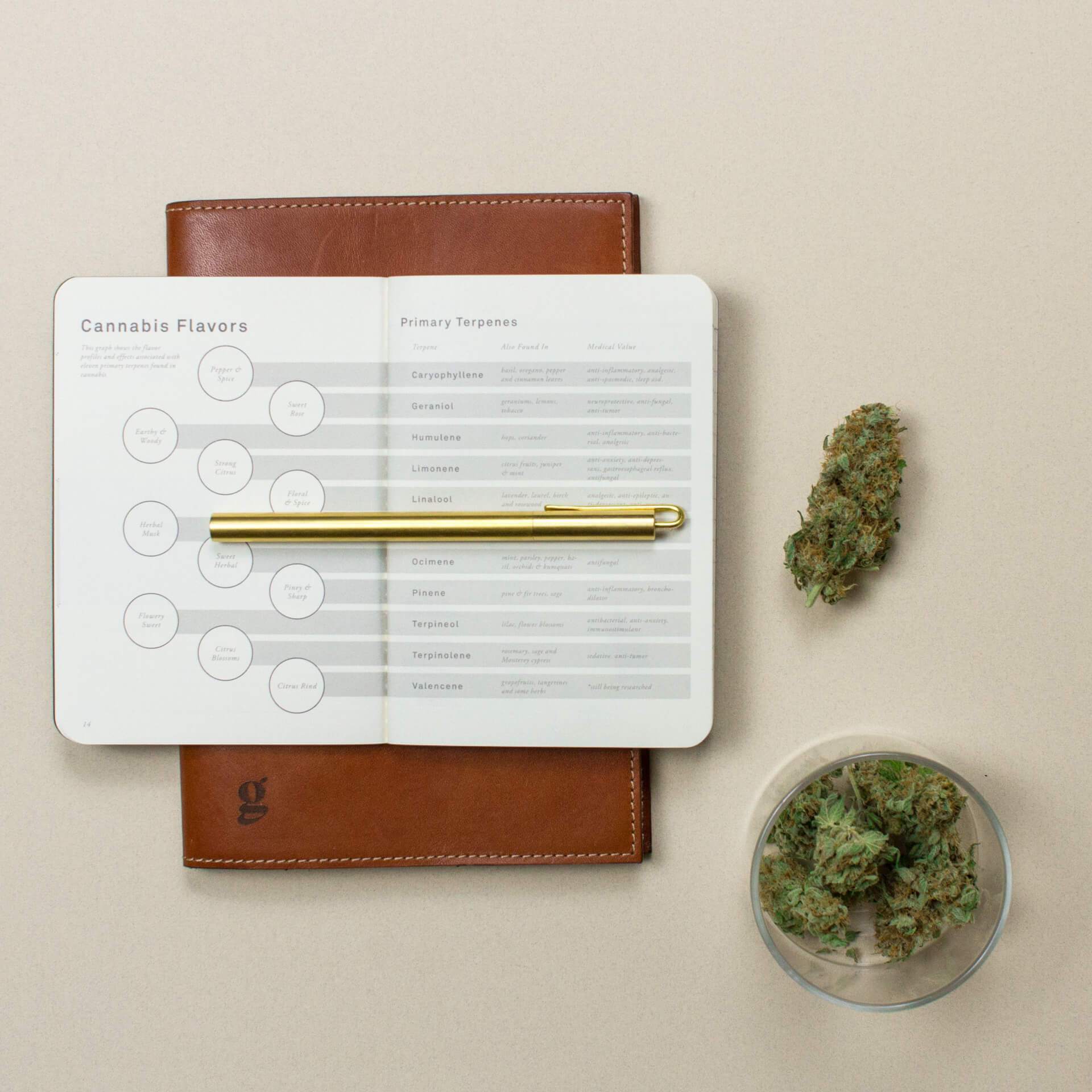 goldleaf-the-cannabis-taster-cannabis-journal-marijuana-notebook-883512410152.jpg