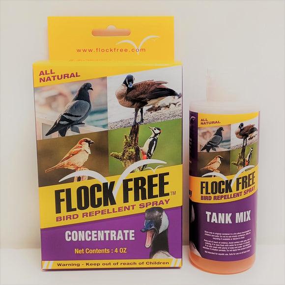 Flock Off UV Paint Clear 4 Ounce Dauber for Bird Control – Flock Free Bird  Control Systems and Services LLC