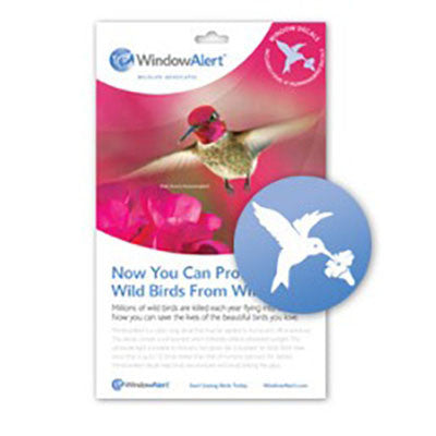 WindowAlert Modern Hummingbird Decal Envelope - 4 decal pack