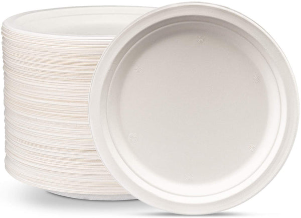 Why You Should Get Eco-Friendly Paper Plates?