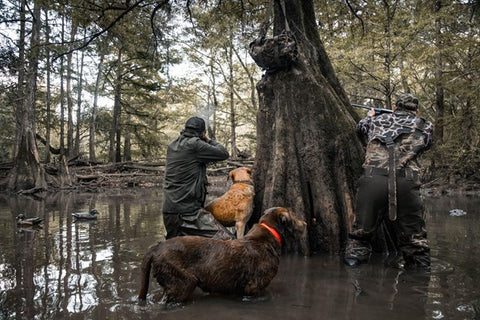 Two hunters with their dogs standing in shallow water area