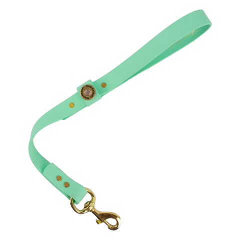 Water Dog Collar Mint Over Under Clothing