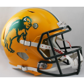 ndsu mini helmet