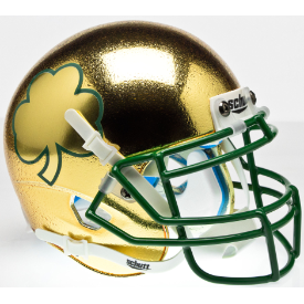 GREEN BAY PACKERS RIDDELL FULL SIZE SPEEDFLEX AUTHENTIC HELMET – SPORTSCRACK