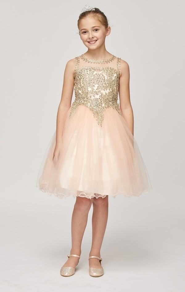 cinderella couture dress