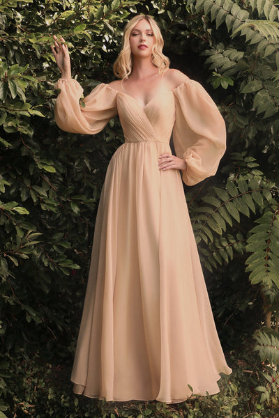 CD 0192 Size 8, 14 Long A Line Chiffon Long Sleeve Mother Of Dress Wedding  Guest Gown