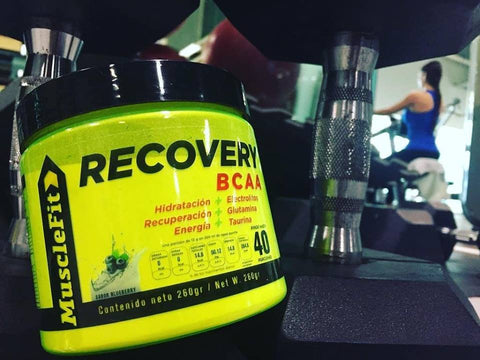 recovery bcaa muscle fit