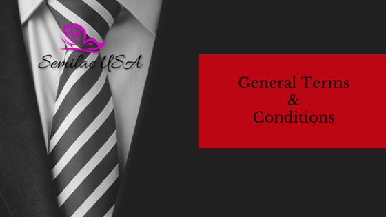 Semilac USA General Terms And Conditions  