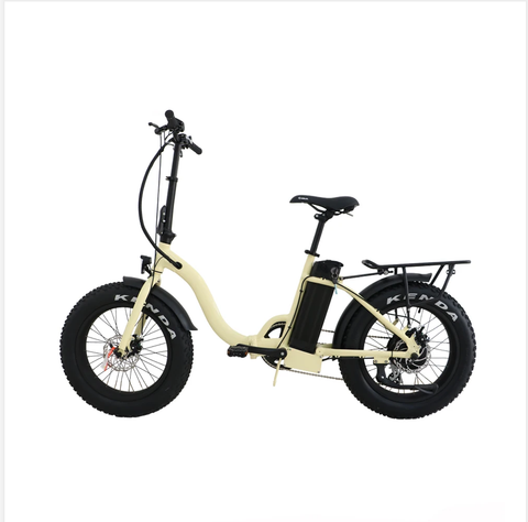 pasion ebike