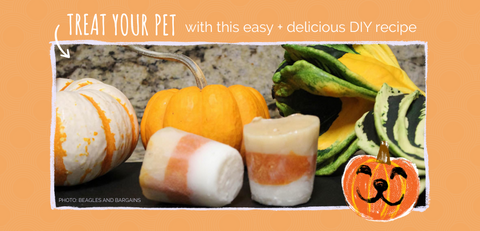 Halloween treat for dogs