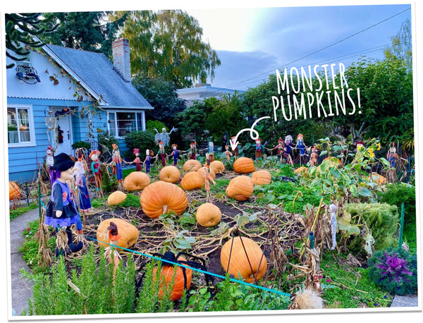 Our neighborhood is ready for Halloween. The big question... is your dog ready?