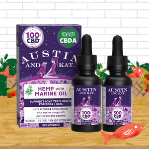 CBD for cats and dogs: hemp oil for animals