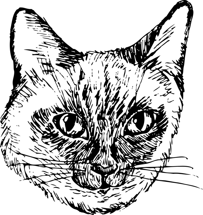 Siamese Cat Face (Sketch-Style) | Dog, Cat & Fur Baby Stamps – Stamptopia