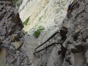 crypt lake waterton ladder