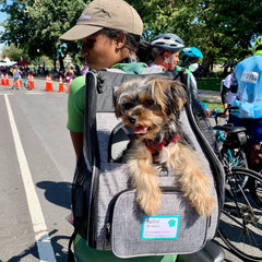DC Bike Ride, Dog in Backpack