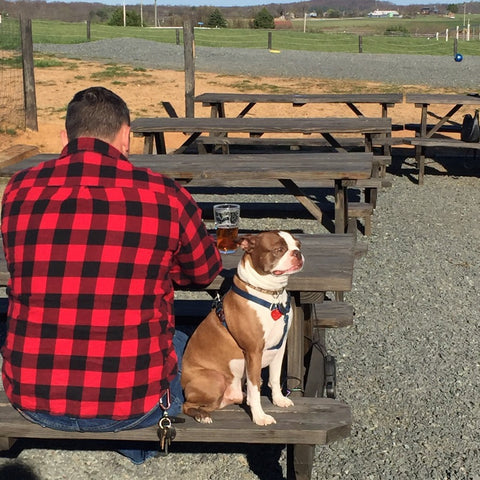 Man & Dog at Brewery