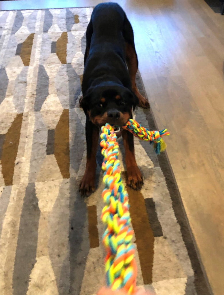 big dog chew ropes