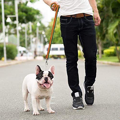 backyard dog leash