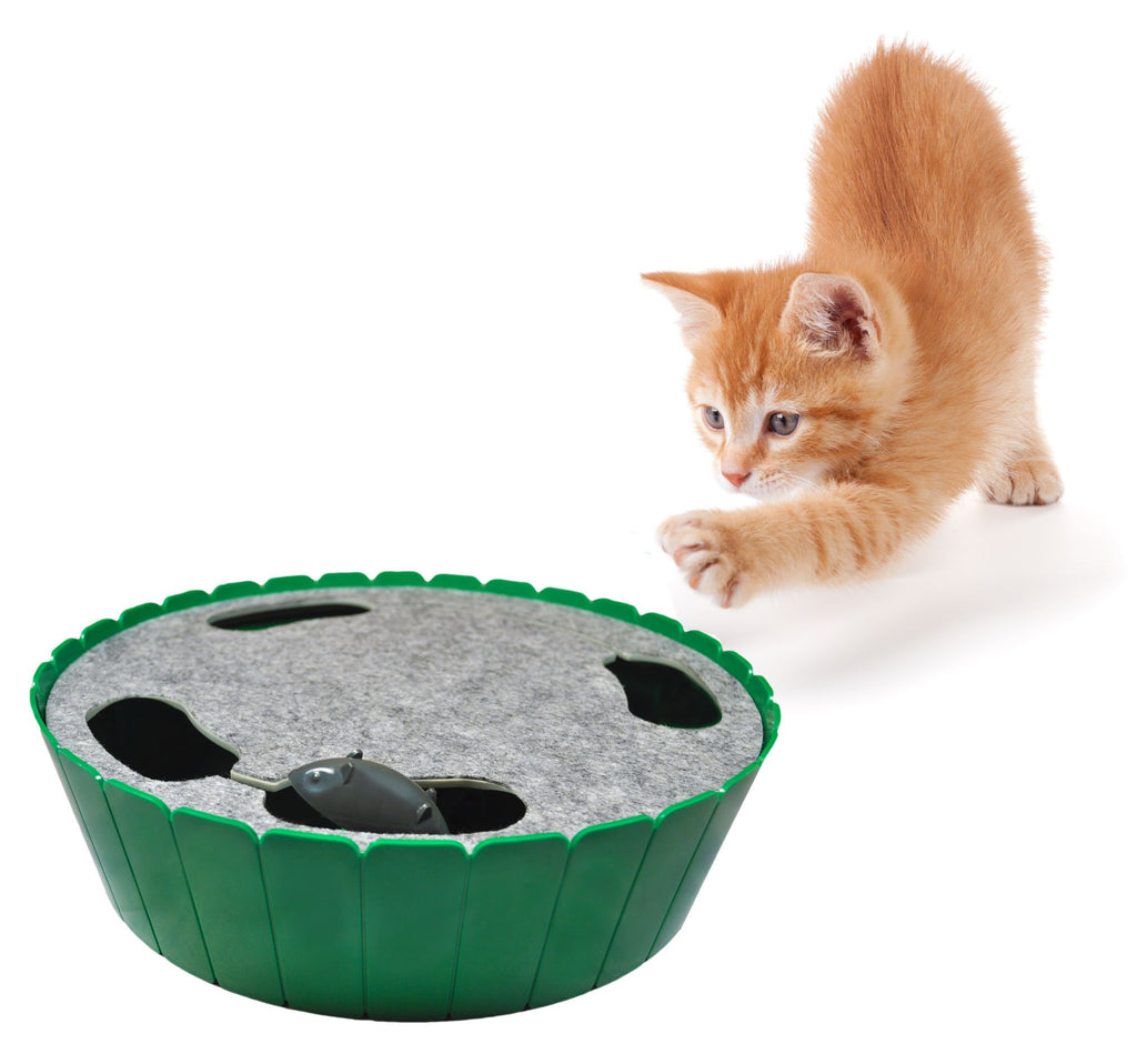 active cat toys