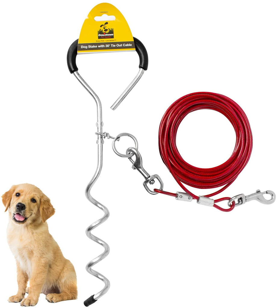 pet tie out stake