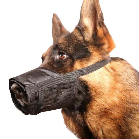 dog grooming muzzle