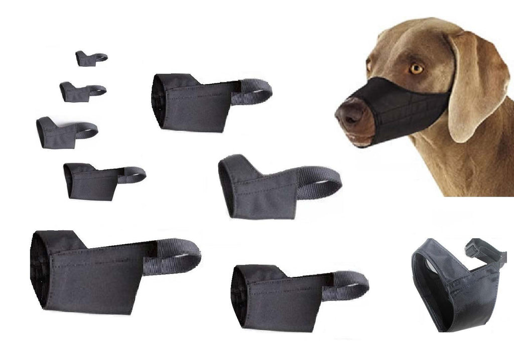 fitting a dog muzzle