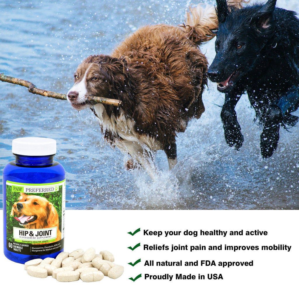 are dog supplements safe