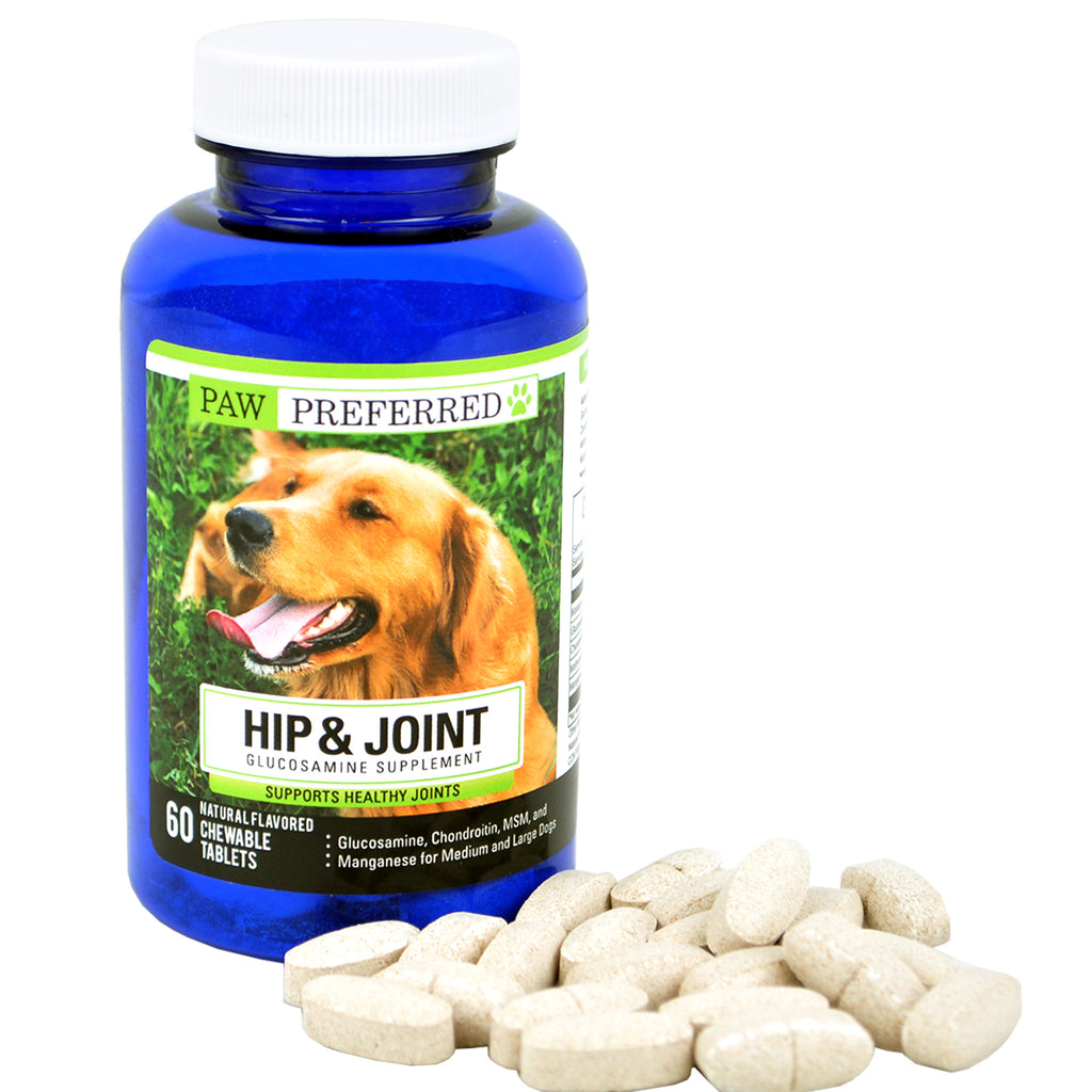 Premium Canine Glucosamine Chondroitin with MSM | Downtown Pet Supply