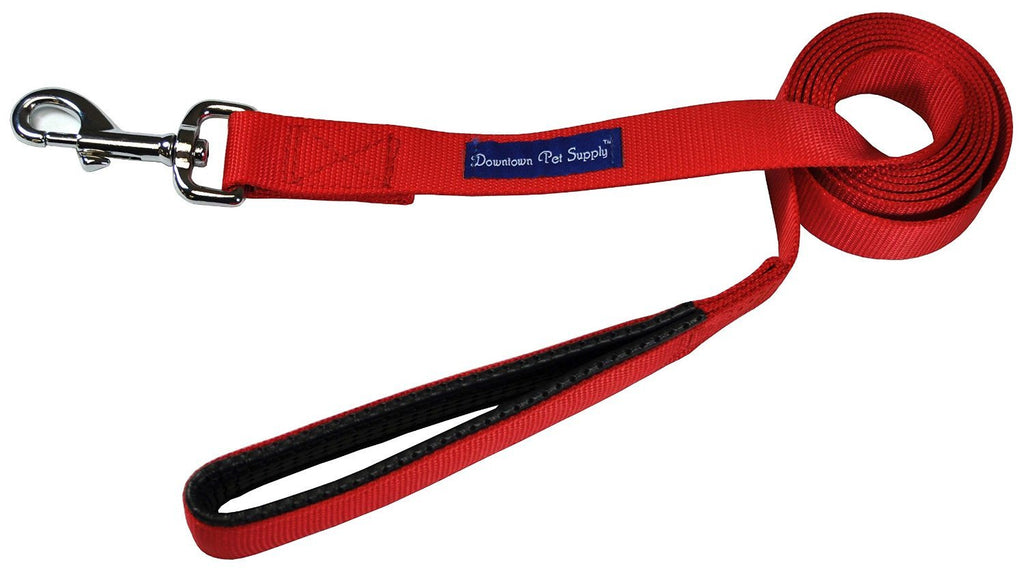 strong dog leash and collar