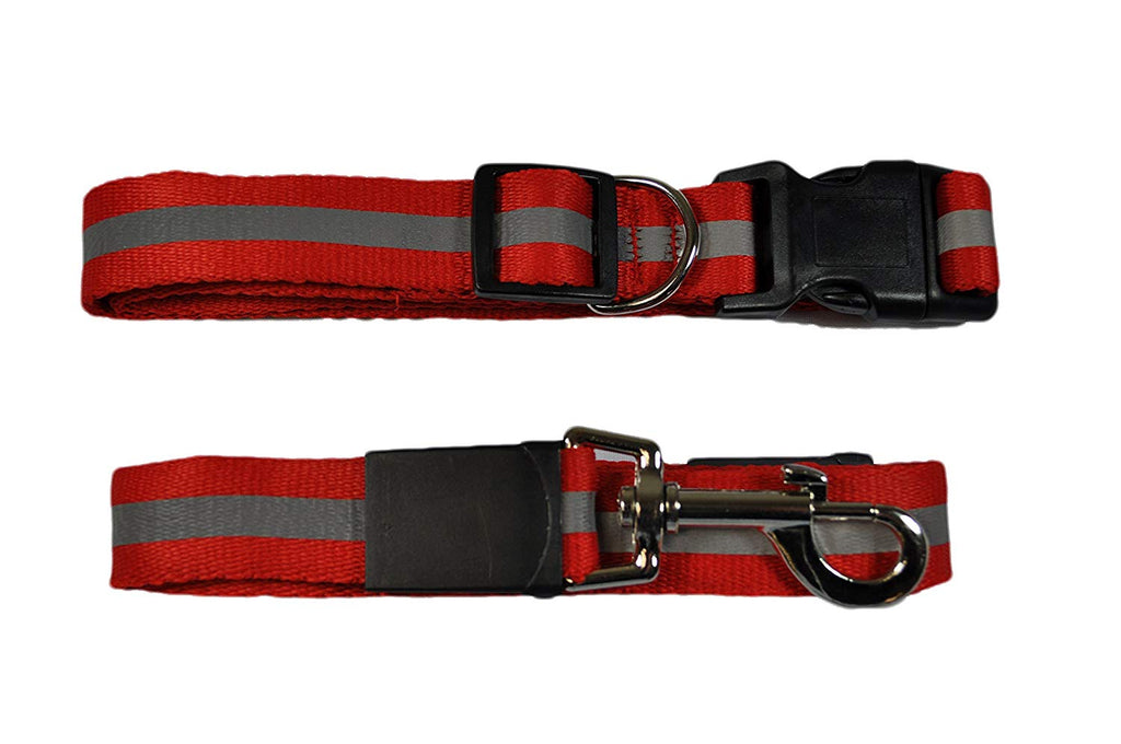 reflective leashes and collars