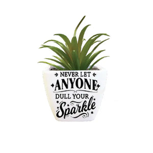 Mini Succulent - Never Let Anymore Dull Your Sparkle - Simply Northwest