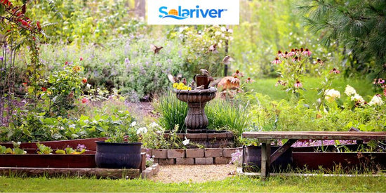 Transform your outdoor space with a solar fountain pump by Solariver