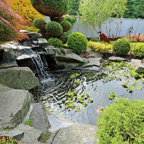 How to Add a Small Pond or Water Feature to Your Yard Using Solar Water Pumps