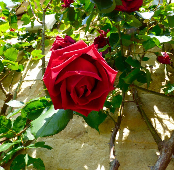 Barnsley House - kissthemoon.com Sleepover Review