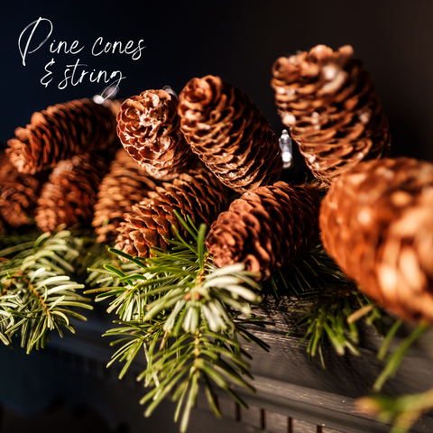 pine cones