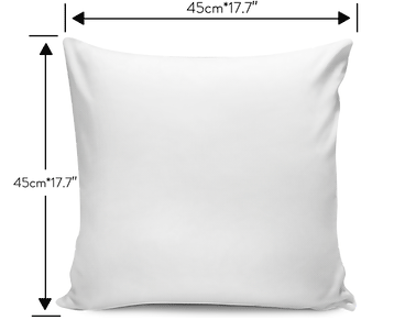 bikers pillow cover