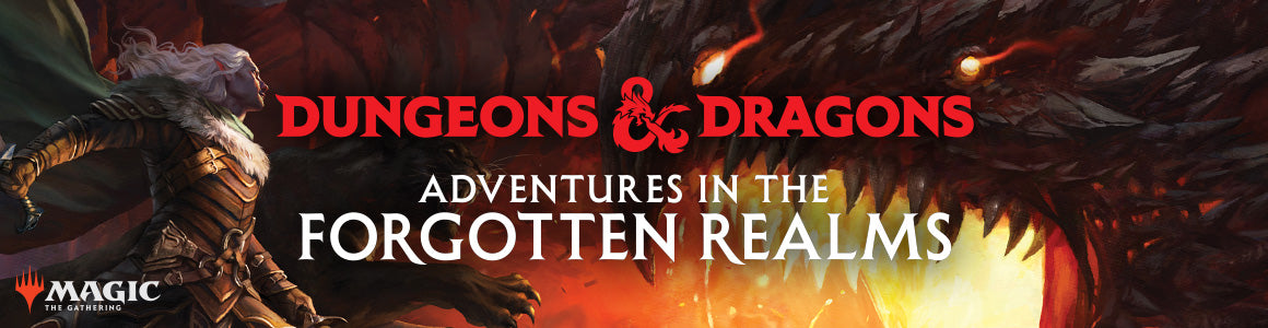 DND Adventures in the Forgotten Realms