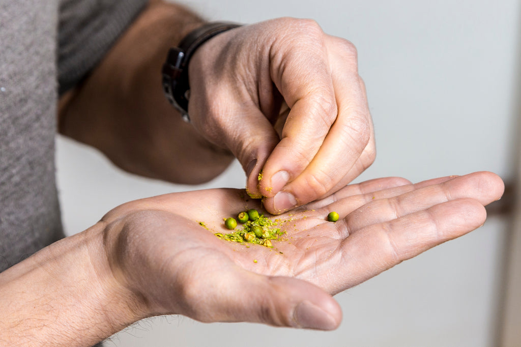 Grüner Pfeffer in der Hand (Foto: Ole Schwarz)