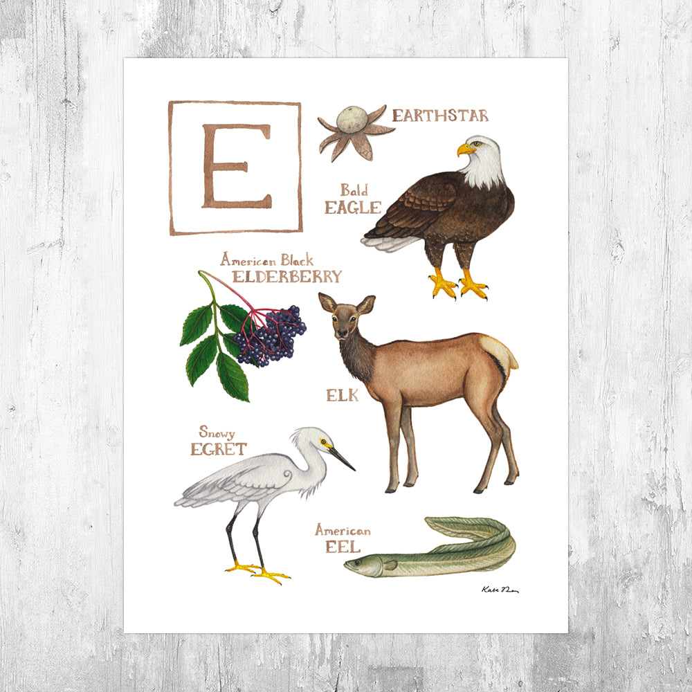 eksplosion Underskrift dvs. The Letter E Nature Art Print – Kate Dolamore Art