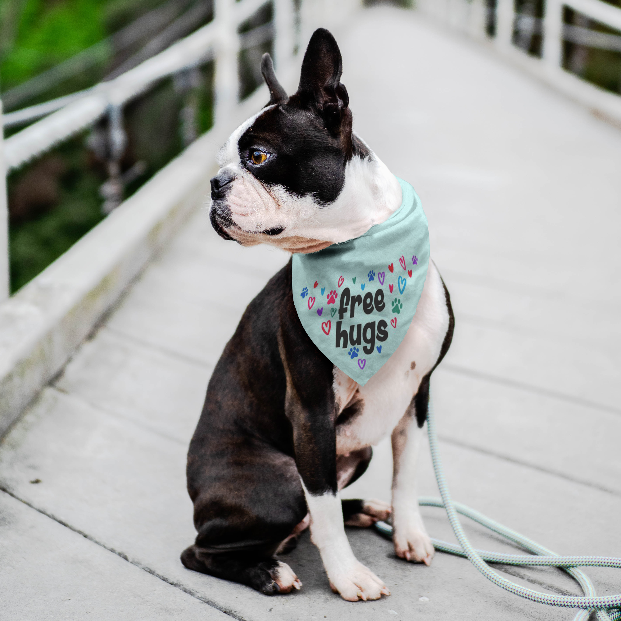 cute dog bandanas