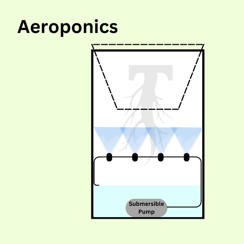 Aeroponics. On a green background, a graphic depicts a bucket filled quarterway with water, a submersible pump sits on the bottom of the bucket connected to tubing with fine misting nozzles spraying up toward the roots. A net pot sits on top.