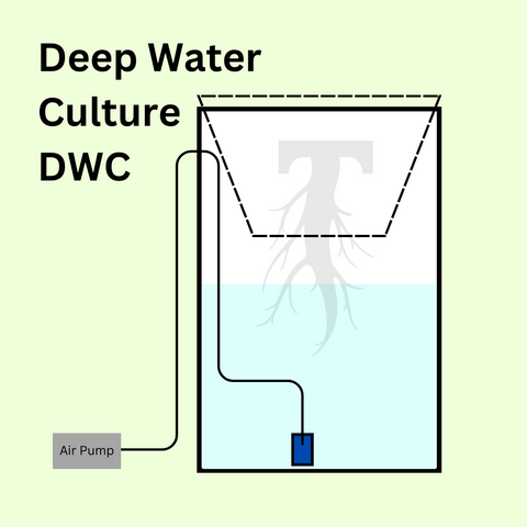 Deep Water Culture DWC. On a green background, a graphic depicts a bucket filled halfway with water, an airpump sits on the outside connected to an airstone sitting in the water. A net pot sits on top.