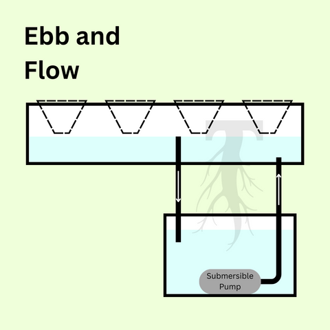 Ebb and Flow. On a green background, a graphic depicts a reservoir filled with water, a submersible pump sits at the bottom connected to wide tubing that pushes water up to a flood tray. The flood tray has multiple plant sites, and a pipe acts as an overflow guard, letting water flow back into the reservoir.