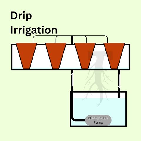 Drip Irrigation. On a green background a graphic depicts a reservoir of water with a submersible pump at the bottom. The submersible pump pushes water up through a tube and splits into smaller lines, each going to a different pot, sitting inside a flood table. At the bottom of the flood table is another tube that brings the runoff back to the reservoir.