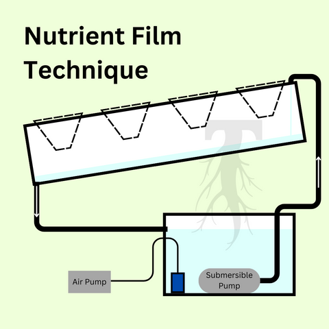Nutrient Film Technique. On a green background, a graphic depicts a reservoir of water, with an air pump sitting outside, pumping air into an airstone inside the reservoir. In the water is a submersible pump pushing water up to a trough and a fine stream of water flows out and down the bottom of the angle trough. At the other end a tube brings the water back to the reservoir.