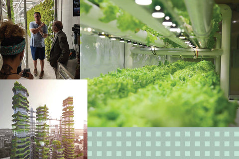 vertical-gardening-farming-taproot-hydroponics