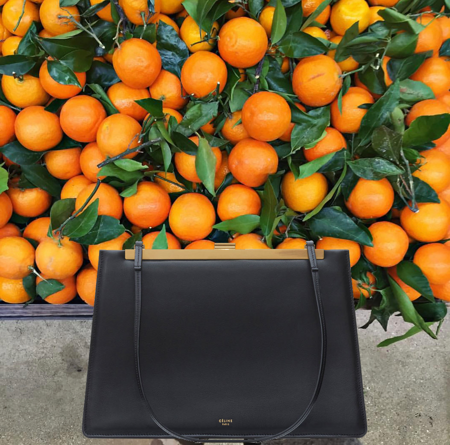 Celine Medium Claps Bag | Luxury Fashion Clothing and Accessories